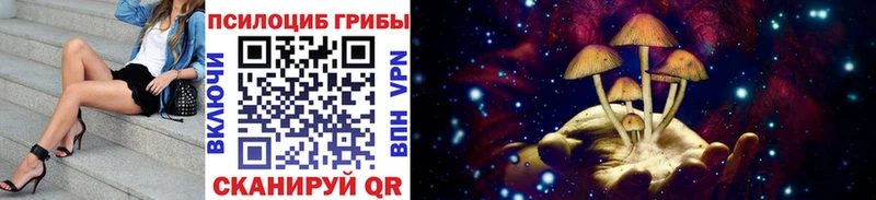 Псилоцибиновые грибы Cubensis  Купить где  Нарьян-Мар 